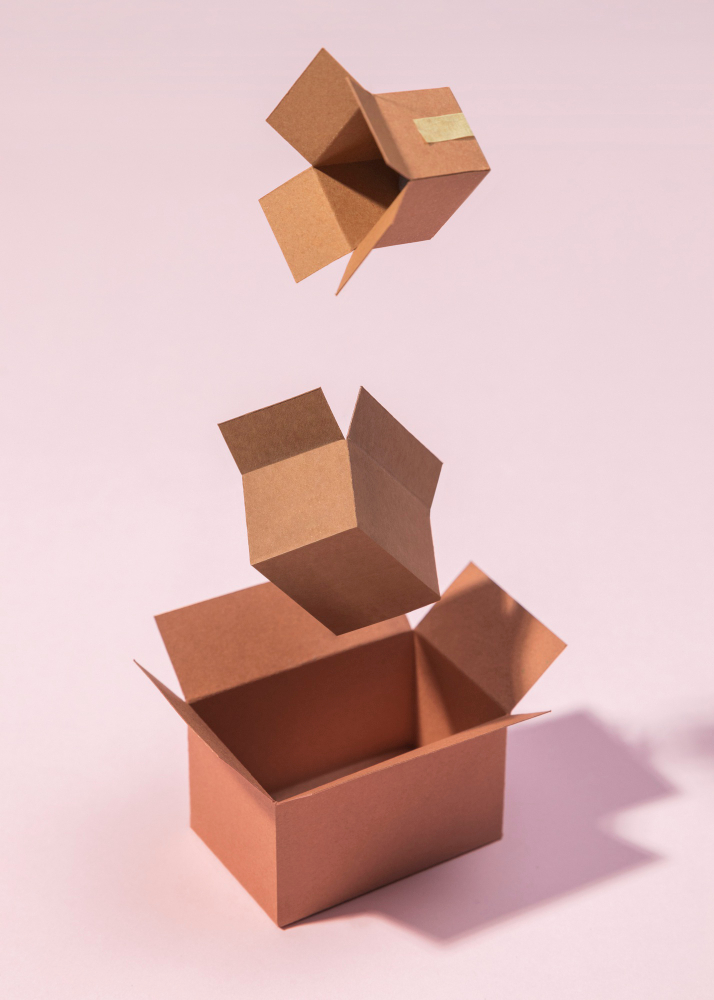 Coisas para fazer com papelão: ideias úteis e criativas